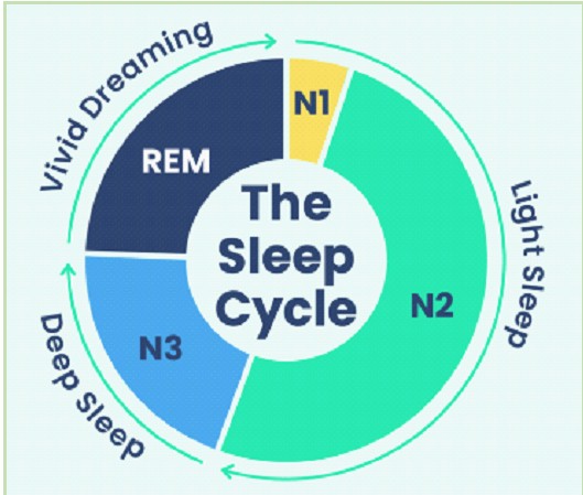 Supplied by Sleep Foundation